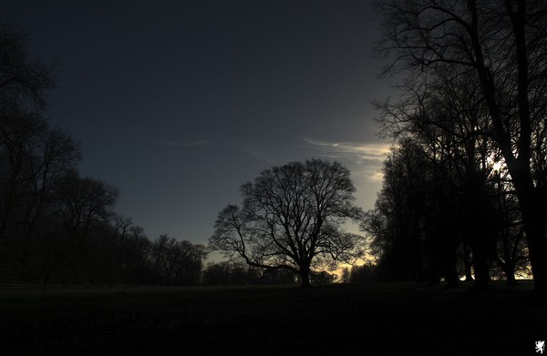 GODS AMBIENT LIGHT