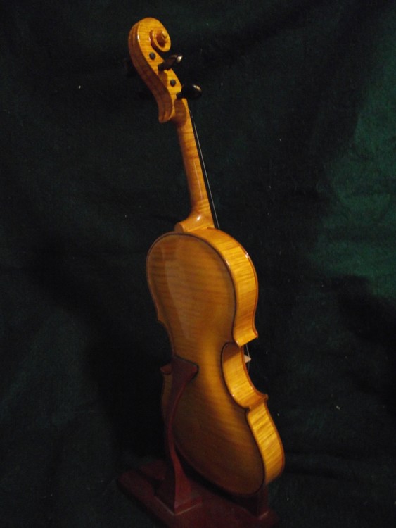 Violin Back