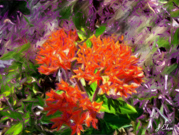 Flower 5
