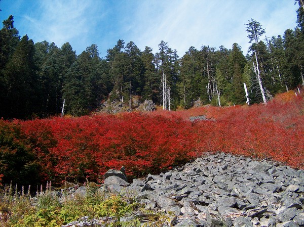 Hillside on Fire