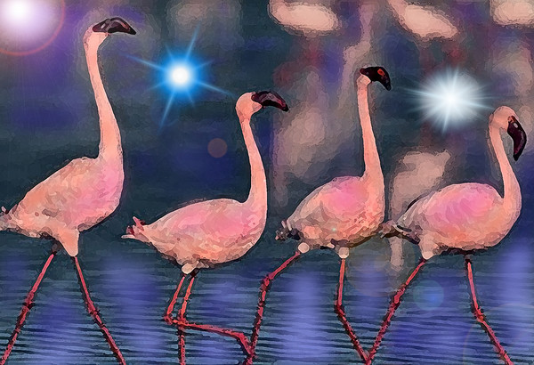 HESITATINGLY FLAMINGO