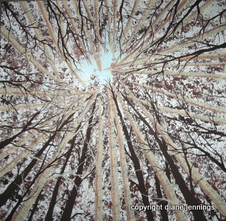 Lying Beneath The Birches