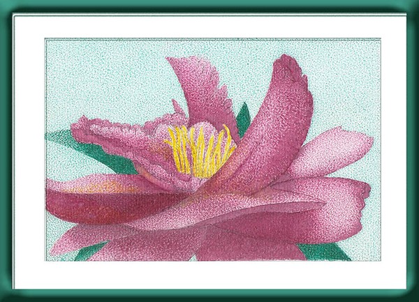 Flor
