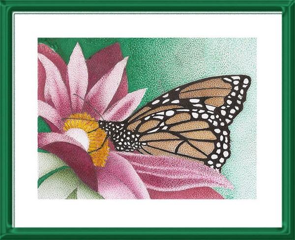 Borboleta na flor