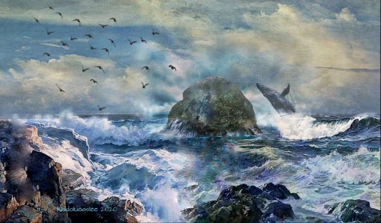  Dancewaves Coastline * 2020 Kiddolucaslee 