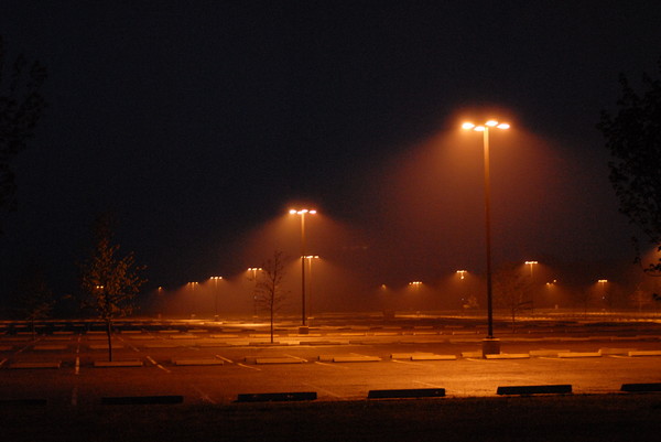 Foggy Morn