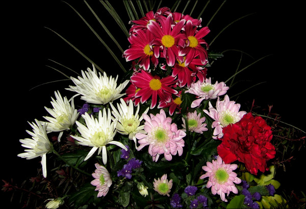 Toms Saturday Flowers