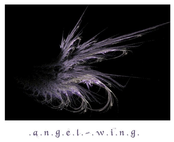 .angel.wing.