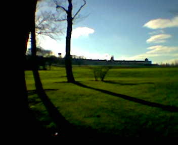 Park Shadows