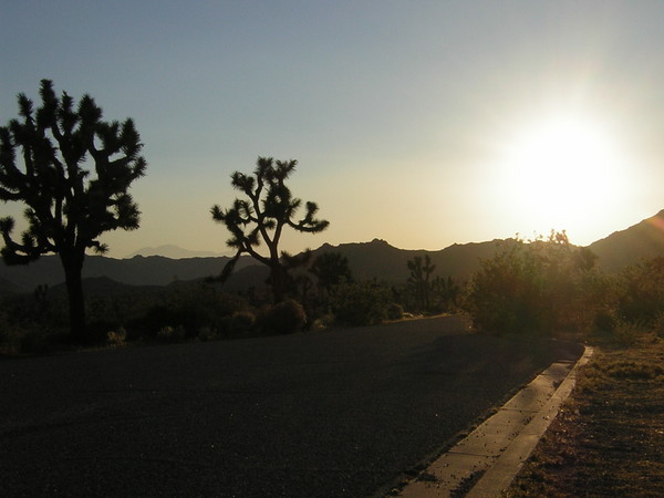 Joshua Dusk