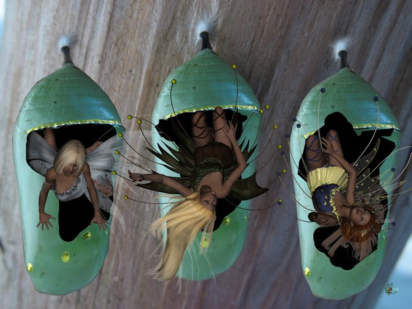 Cocoon