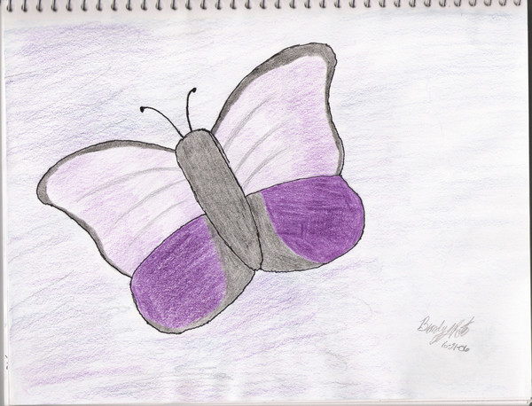 butterfly