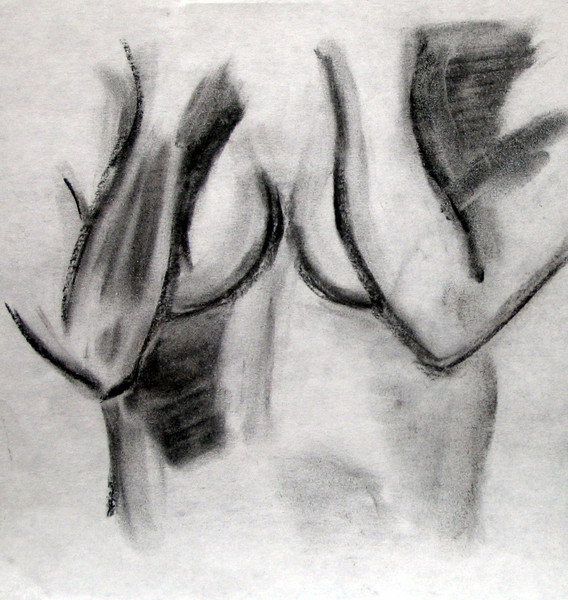 Torso