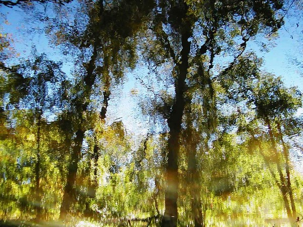 Autumn Reflections