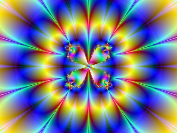 Four Petal Flower
