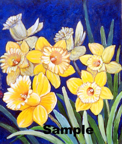 Delicate Daffodils