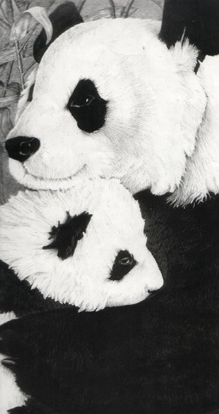 Just the Two of Us -Pandas