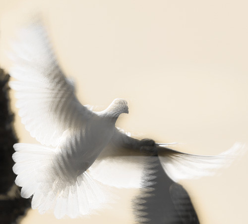 Blind Flight