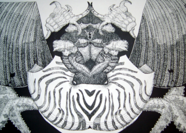 Shells in Ink