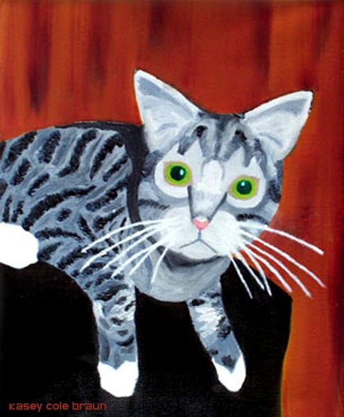 Cat 006 Pet Portrait 