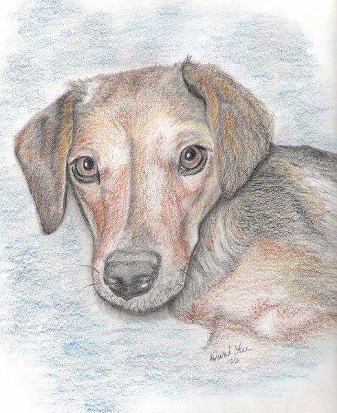 Lilly