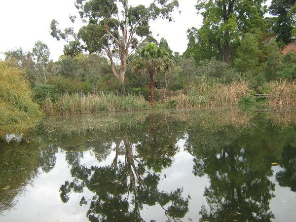 Water Mirror