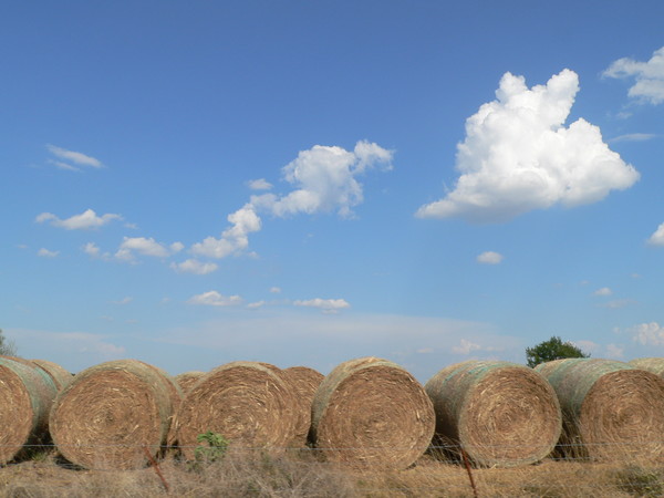 Hay bales