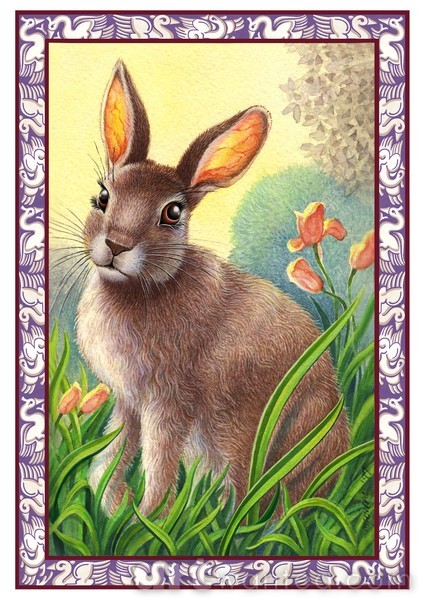 Cards-5x7Vertical-hare