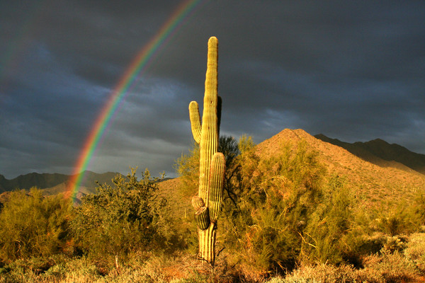 Stormy Desert