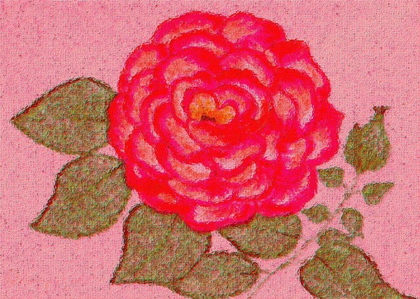 Rose