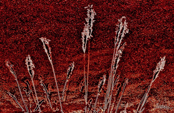 Summer straw ! ( Sunday play )