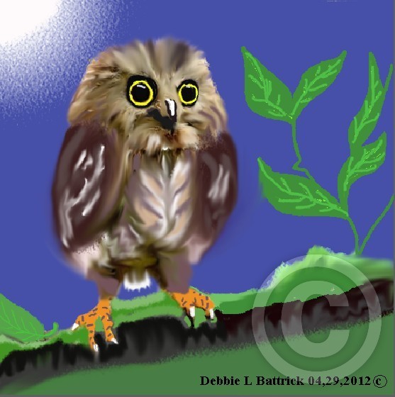 THE OWL