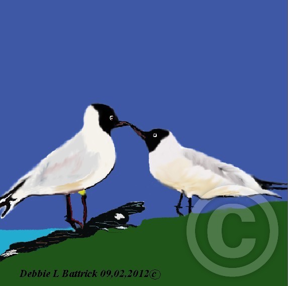 BIRDS