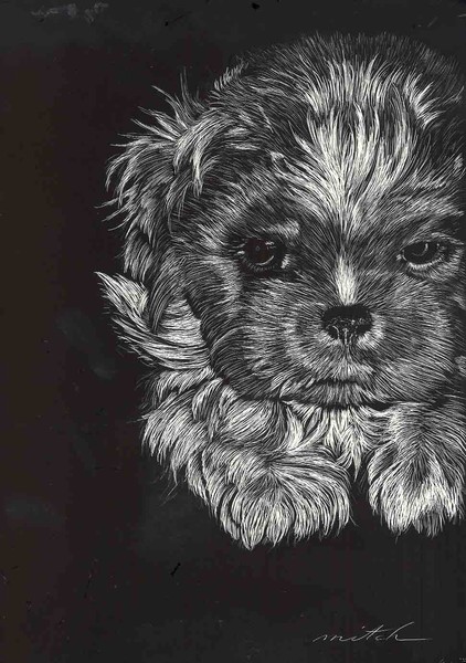 Baby Chewy