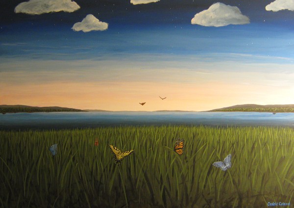 Butterfly Landing