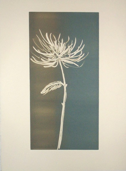 Chrysanthemum II