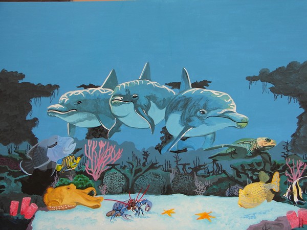 Dolphins Cove