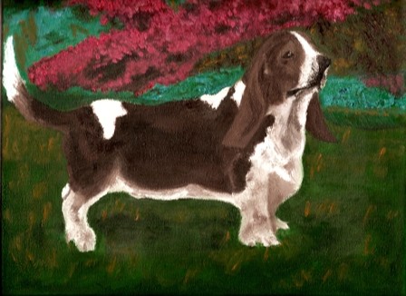 Basset Hound 