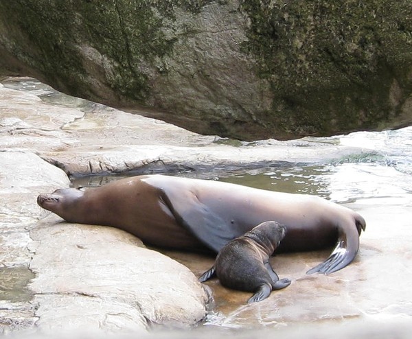 Mother and Child