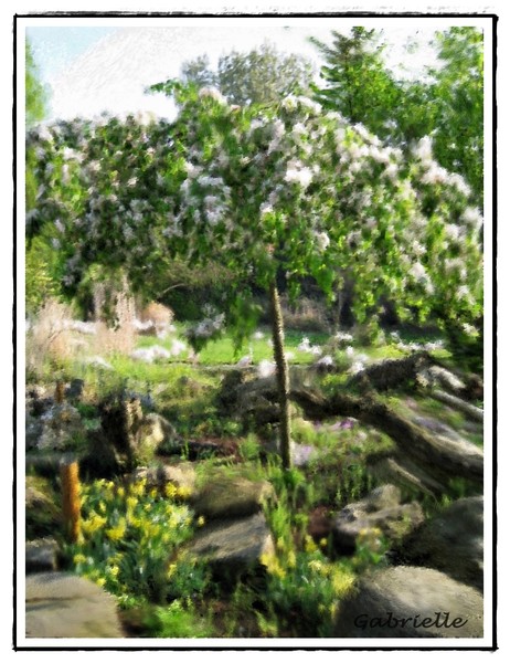 Spring Scene