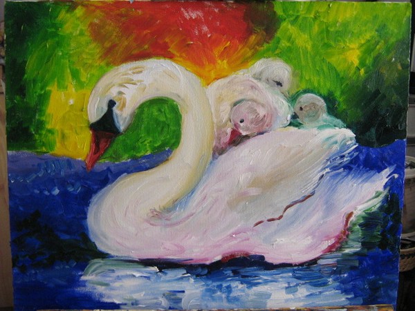 the swan with babies