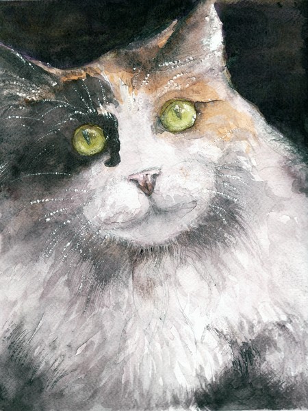 Untitled Cat No.001