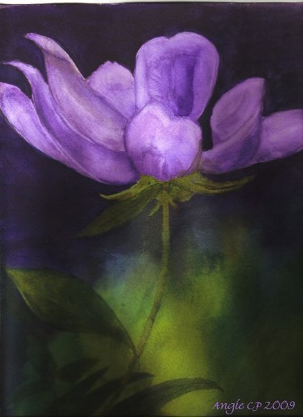 Fuschia peony