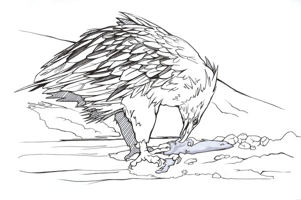 Carnivorous Aerial