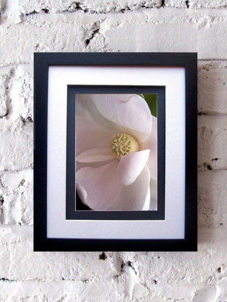 Blush. Photo.