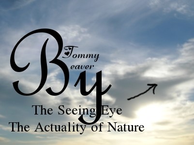 the seeing eye