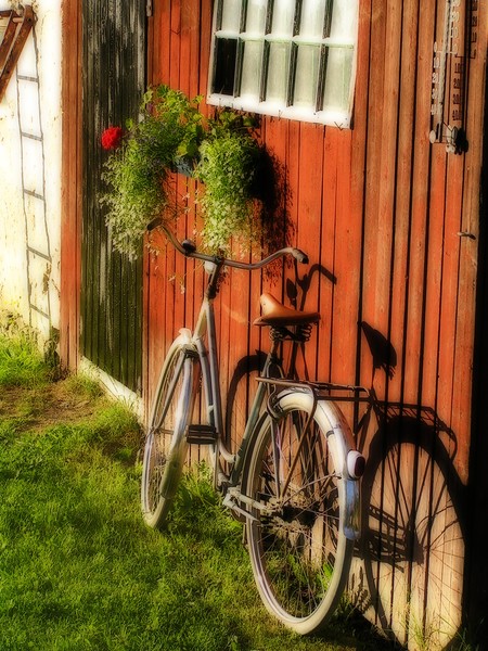 Country life