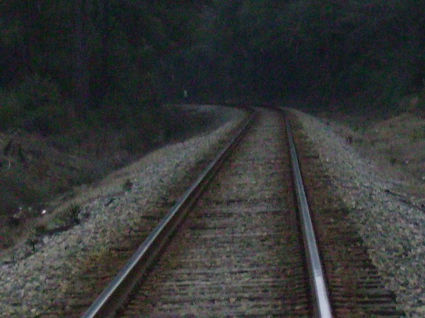tracks