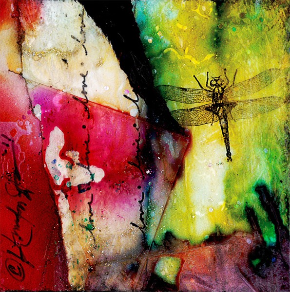 Dragonfly Love
