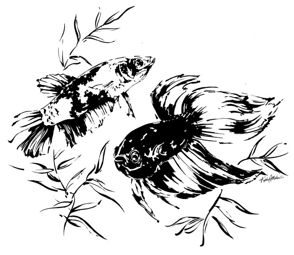 Fish